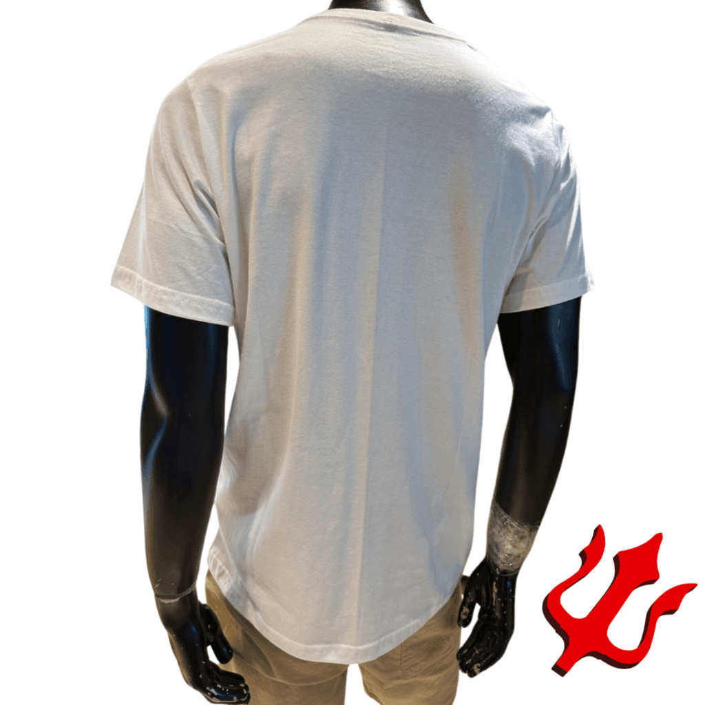 Remera Gotcha Pantone