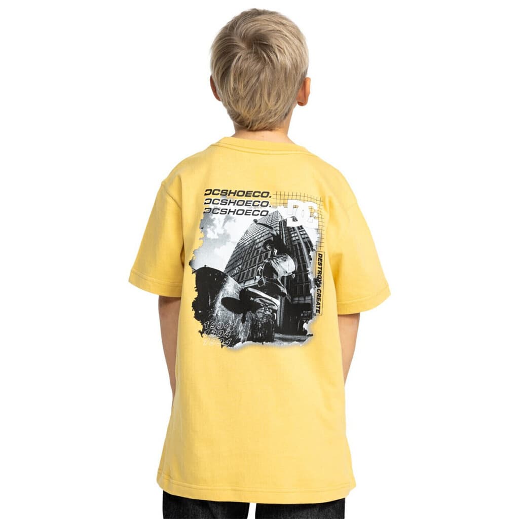 Remera Niño DC Whereabouts